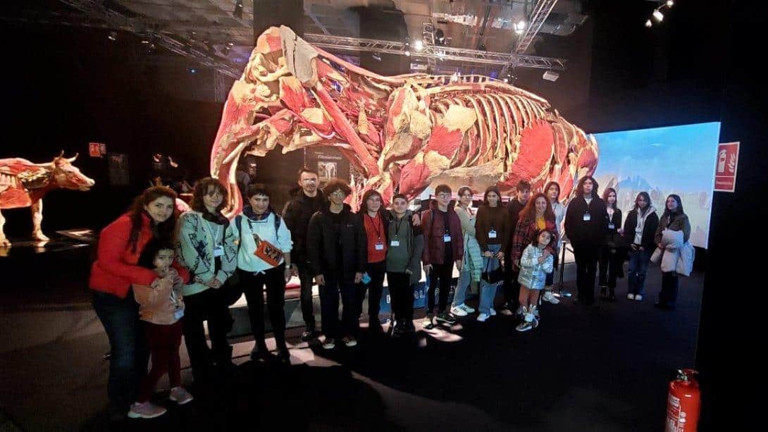 Burhaniye Bilim Sanat Merkezi Öğrencileri Hayvan Anatomisi Müzesini Gezdiler